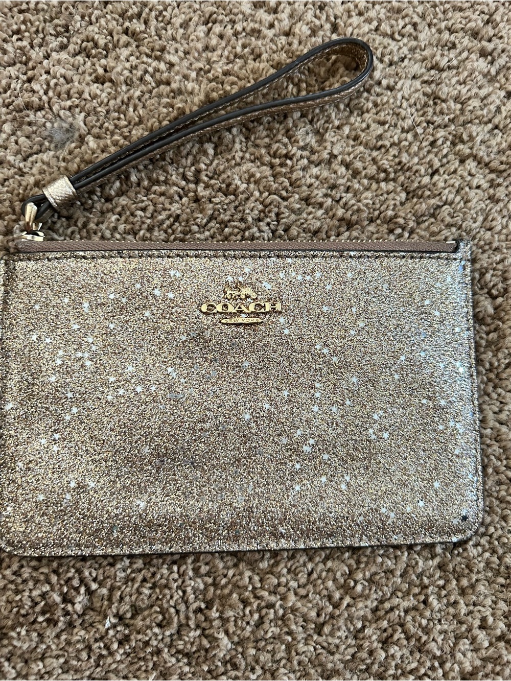 Coach F38641 Small Wristlet With Star Glitter